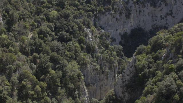 Gorges Galamus Puerto1