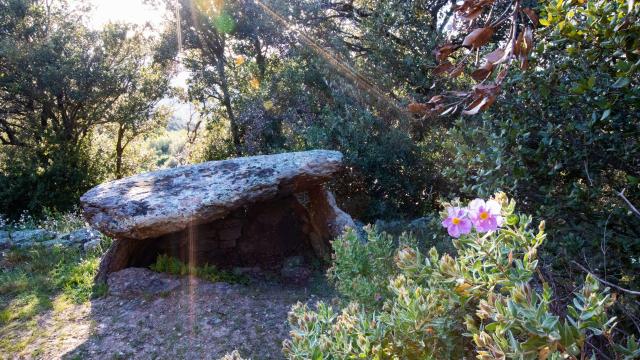 Dolmen de Trilla 2