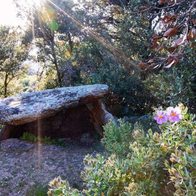 Dolmen de Trilla 2