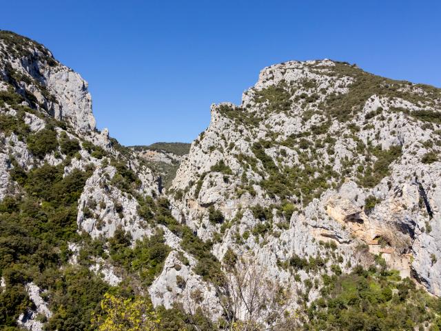 Galamus