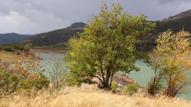 lac de Caramany