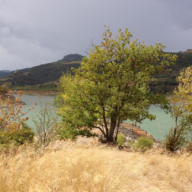 Lago Caramany